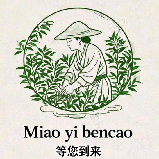 苗医本草铺子