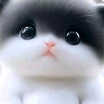 ℒøṽℯ🌿有缘᭄ꦿ࿐