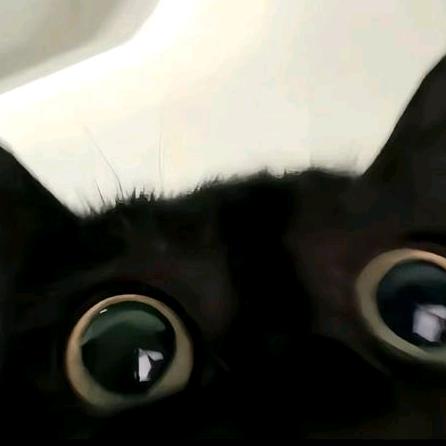 妈妈说名字太长躲到树后面可能会被发现