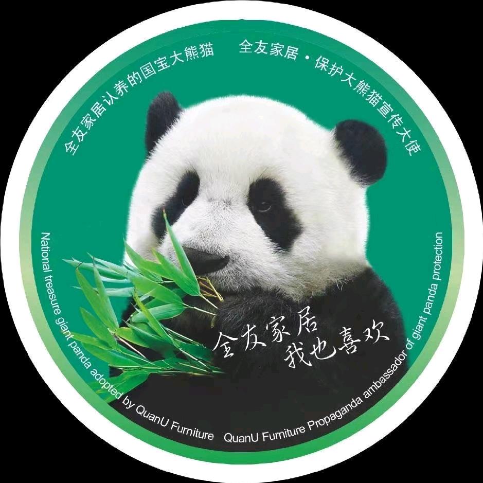 全友家居扶绥店