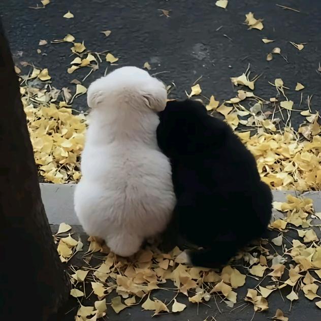 别管