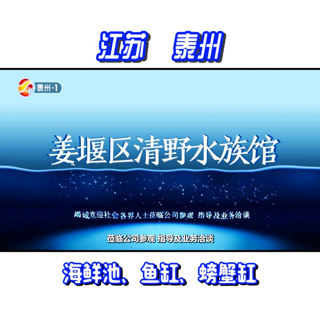 清野水族★海鲜池、鱼缸、螃蟹缸