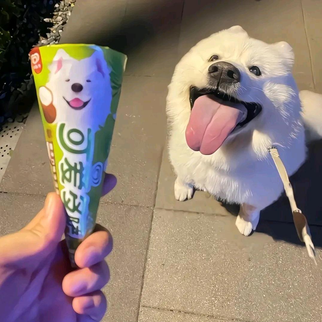 🌈🌈PEA