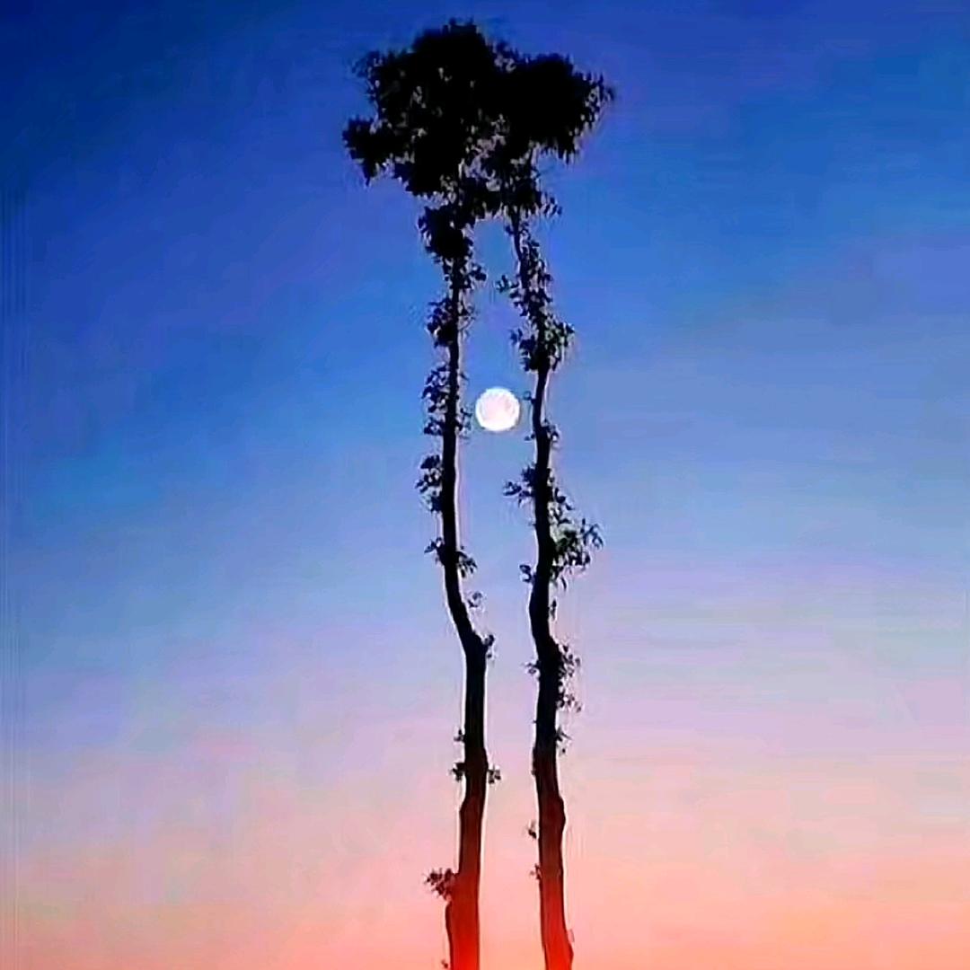 龚～喜发财