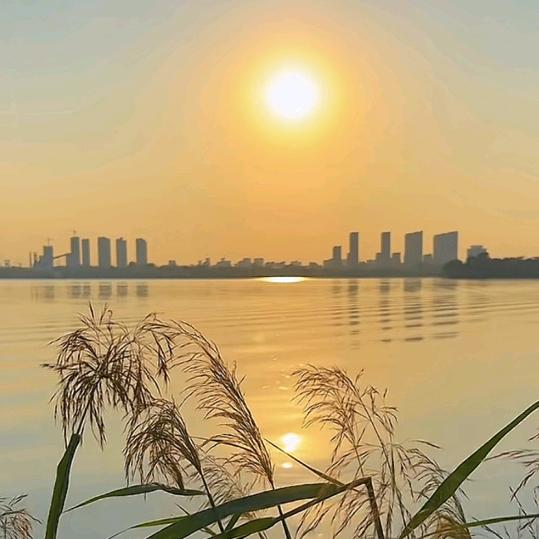 再见太难、