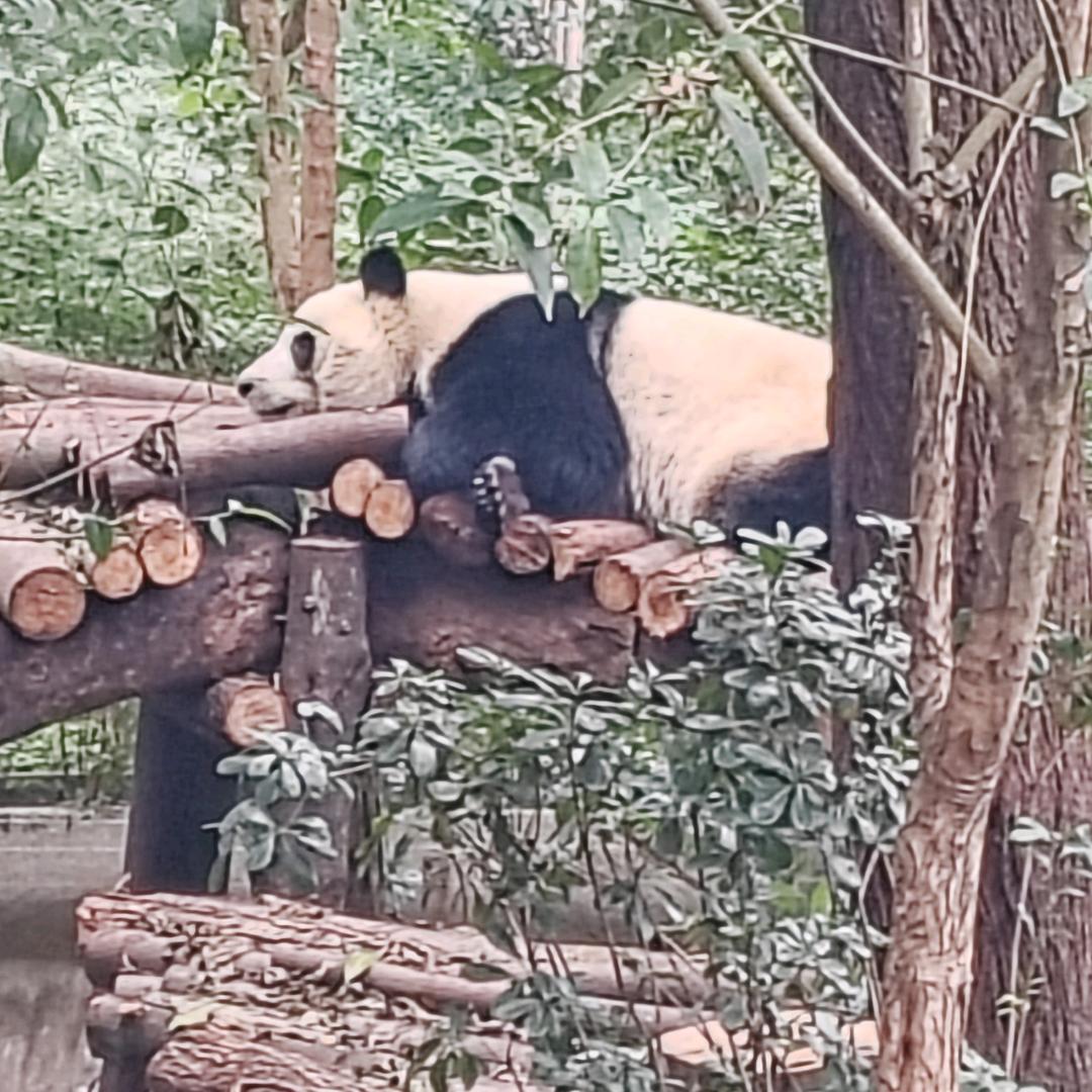 零零七