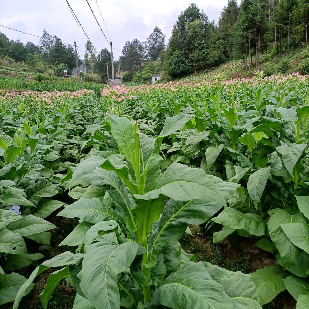 用户1768166310789改变自己