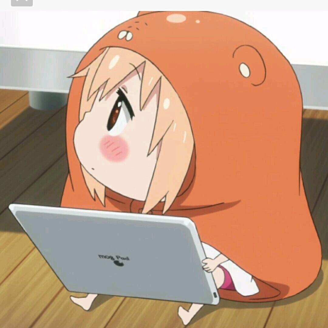 数羊数星星