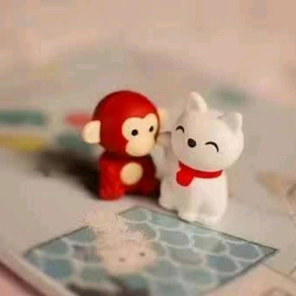 孙志凤