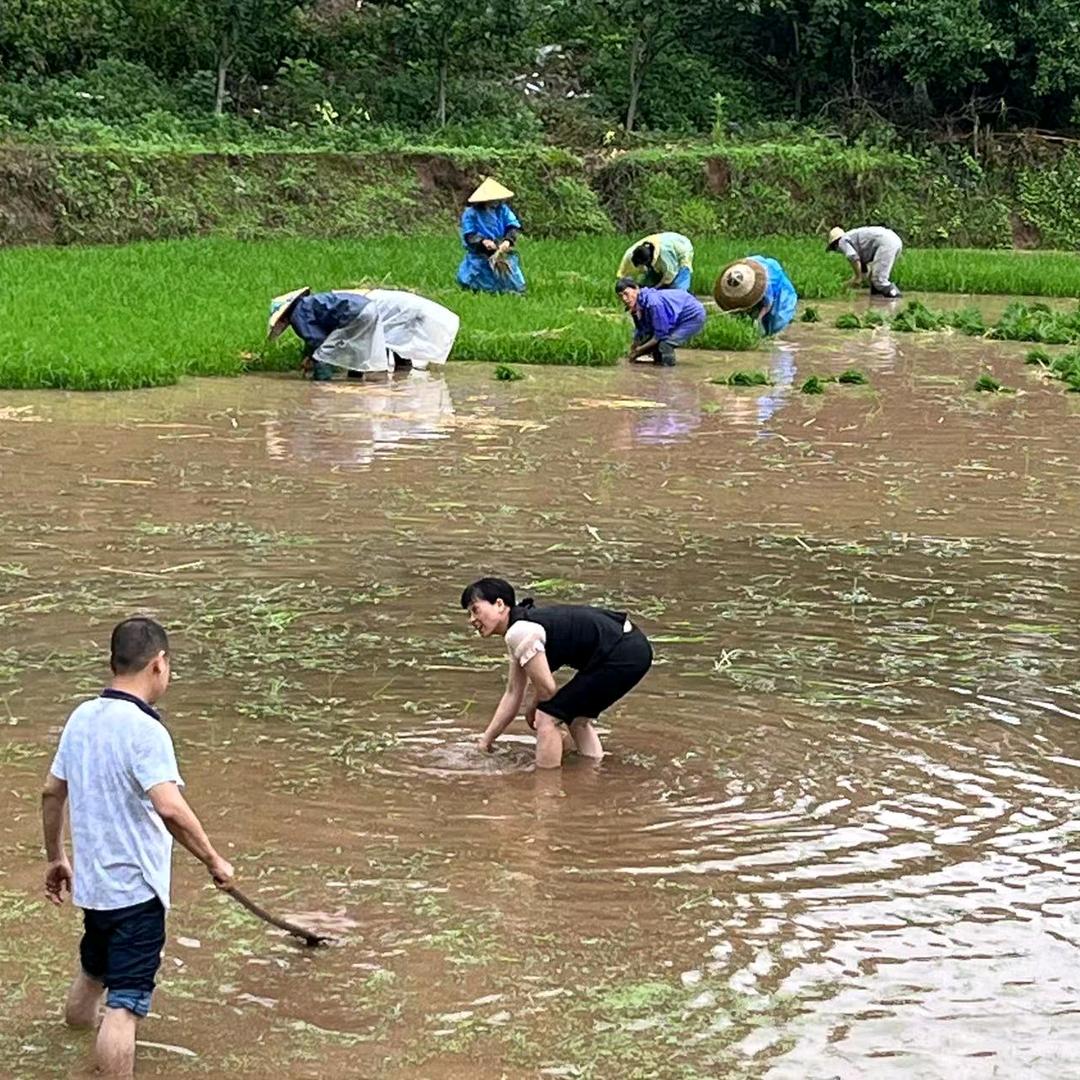 农人阿秀
