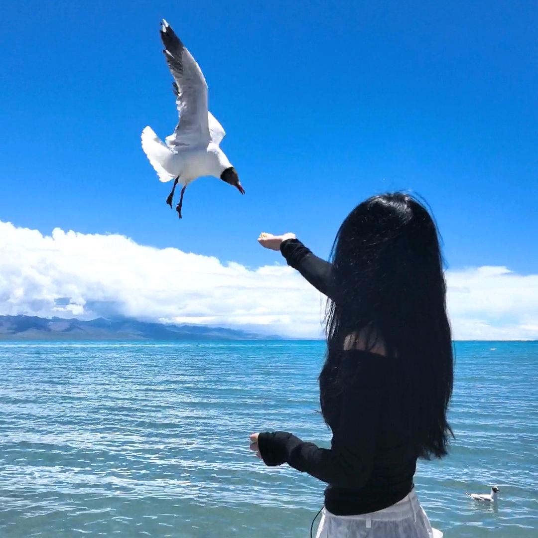 炸毛怡宝