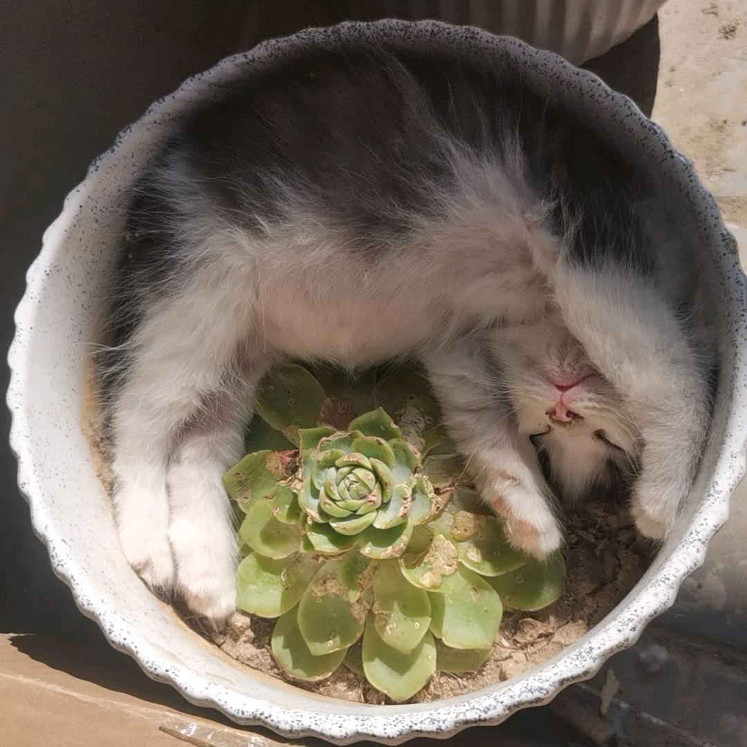 酒伴清风