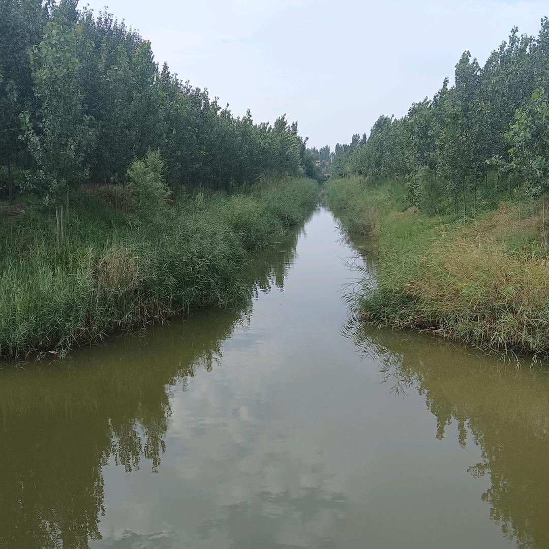 永远幸福