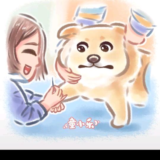 海底的🐟