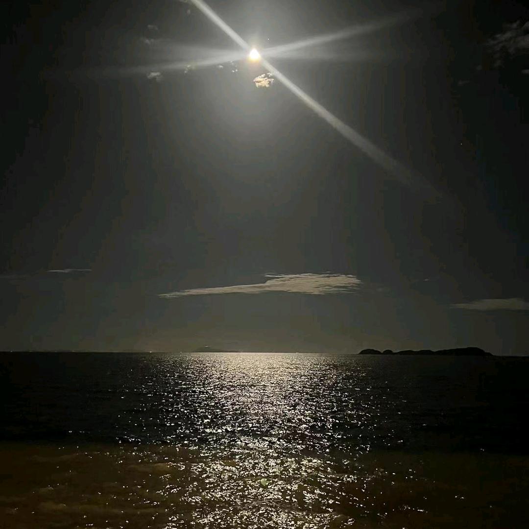 福星高照