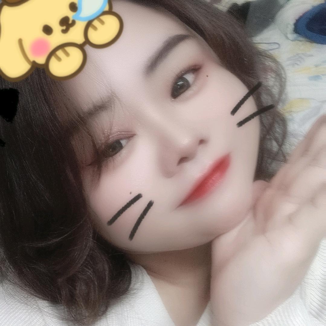 云南熊宝