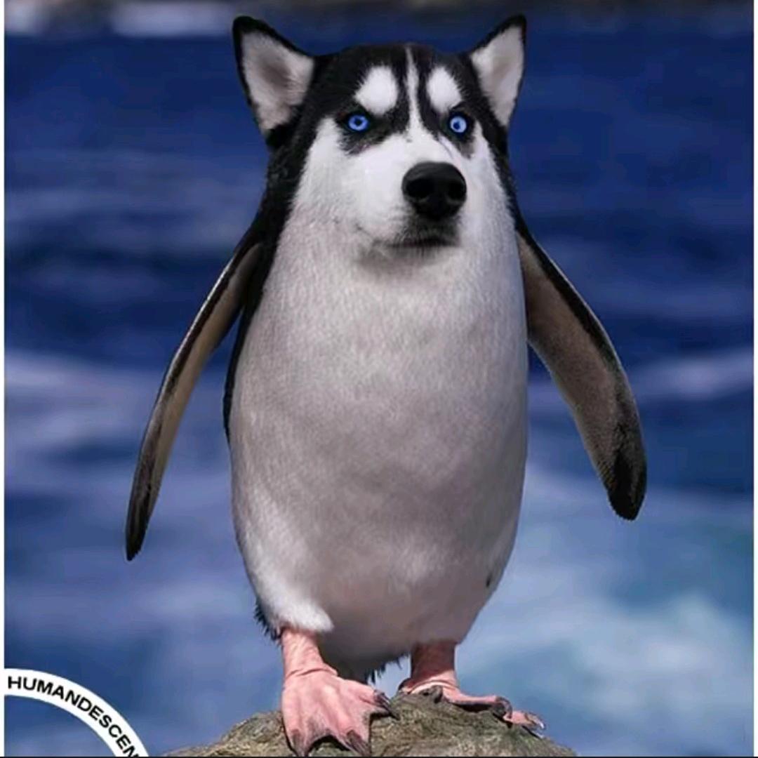 🐍⁰⁹.₁₅李℘࿐