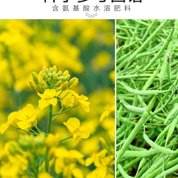 小周一号农资店