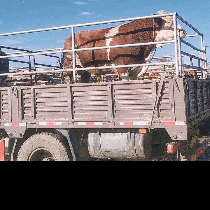 平安是福（小号）