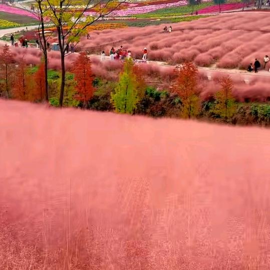 @花好月圆