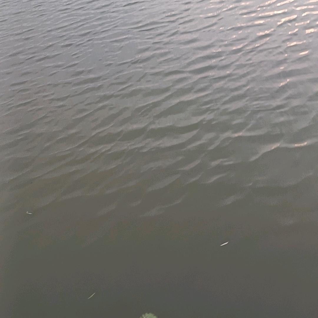 。。。。。。。。