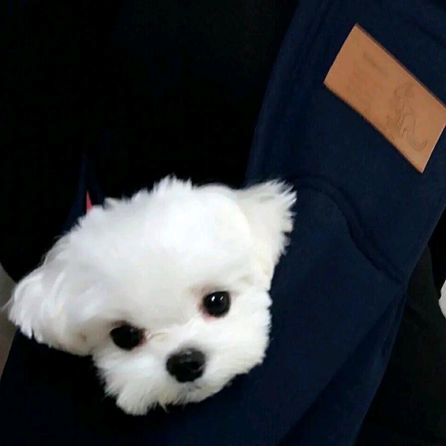 🌈🌈王多多🌈🌈