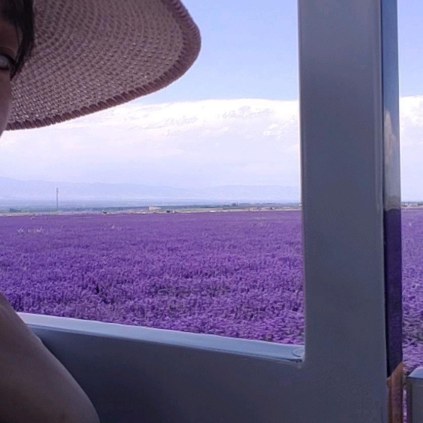 飞姐（首播）筹备中