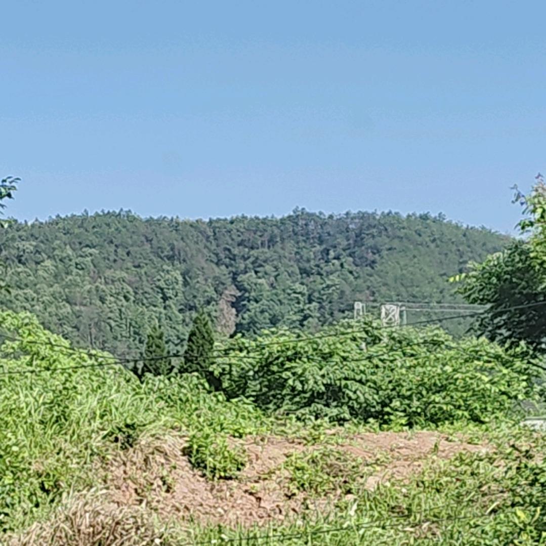 平安。