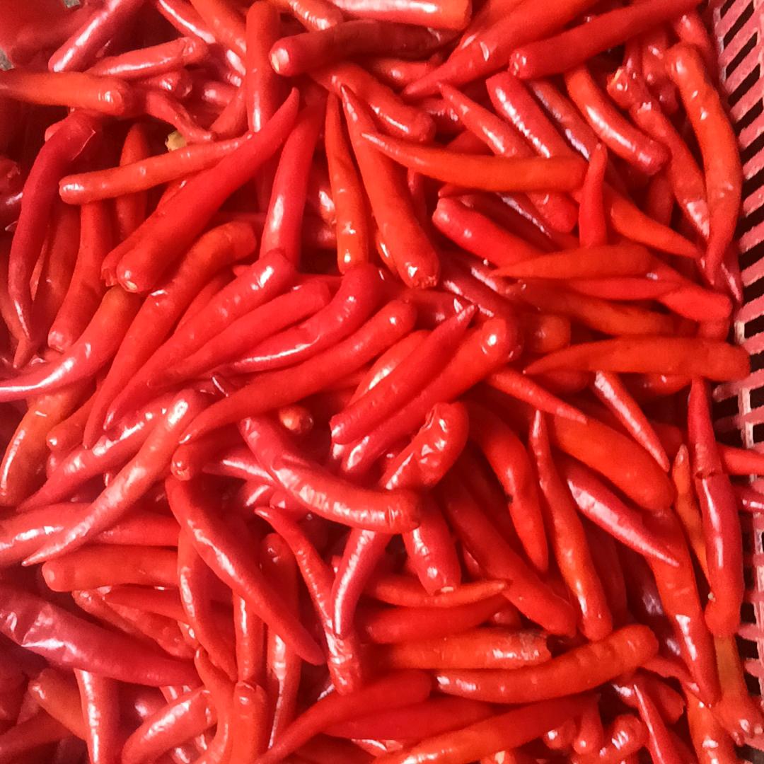 🍎热日😄格乐✨