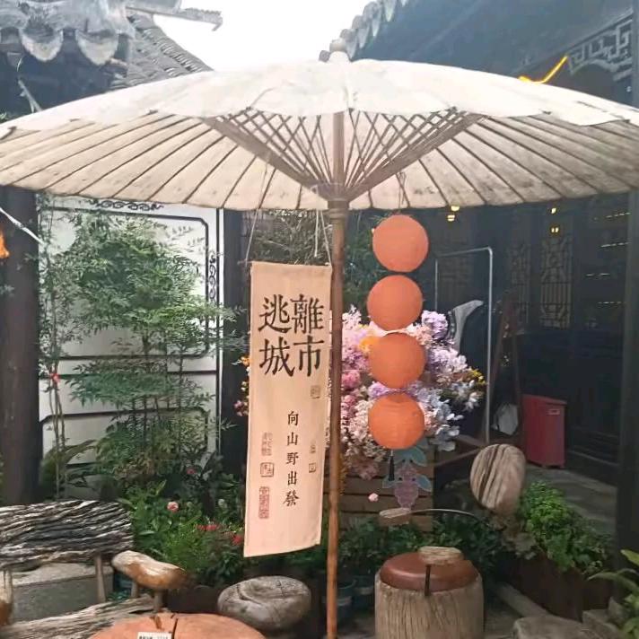鶫鶫