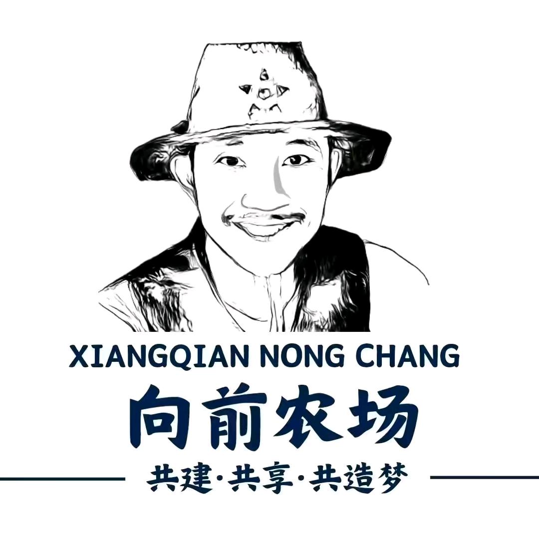 向前农场日记