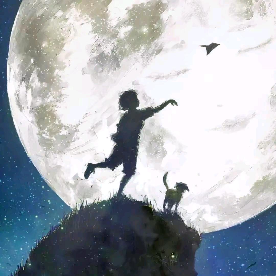 不确定不晓得不可以