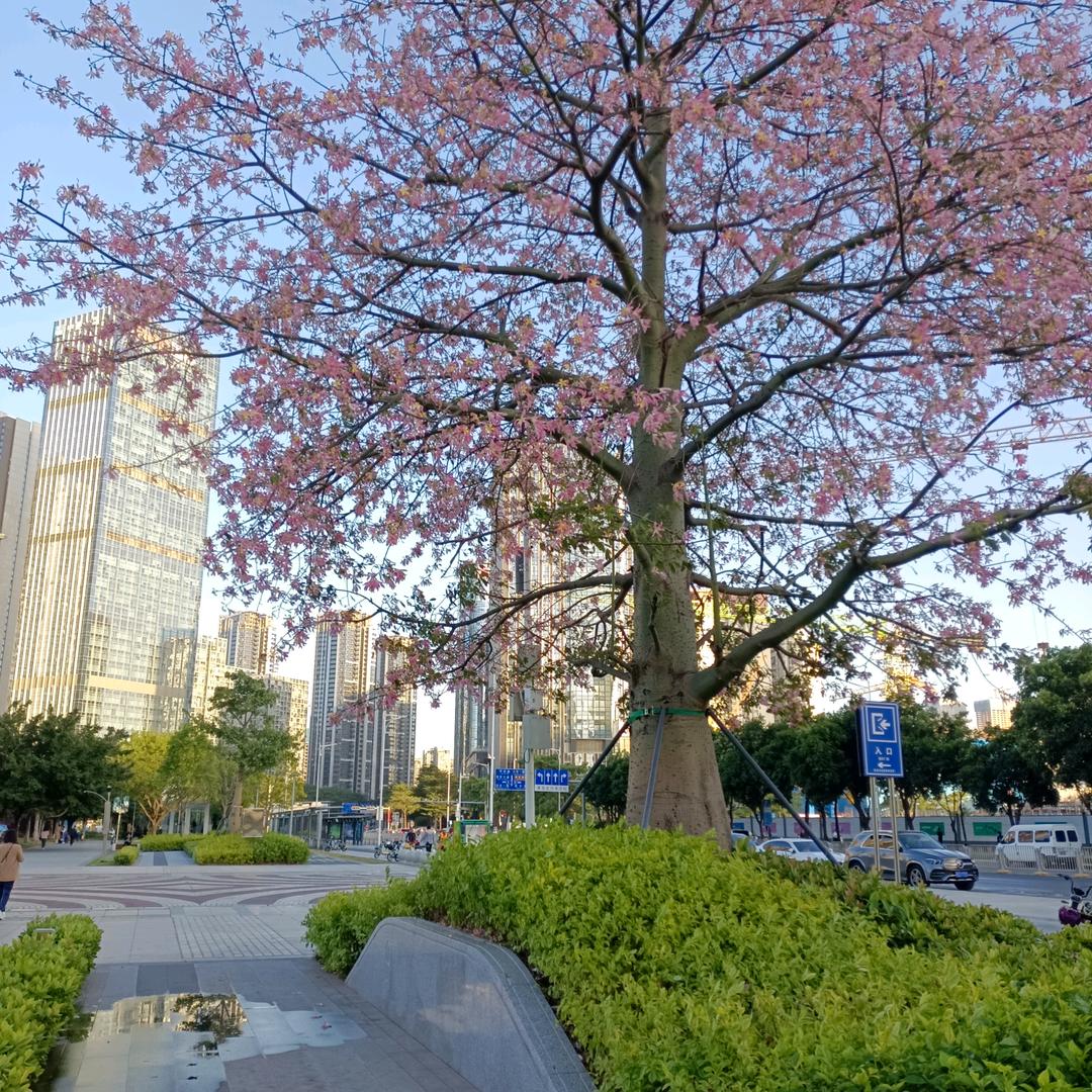 喜欢你