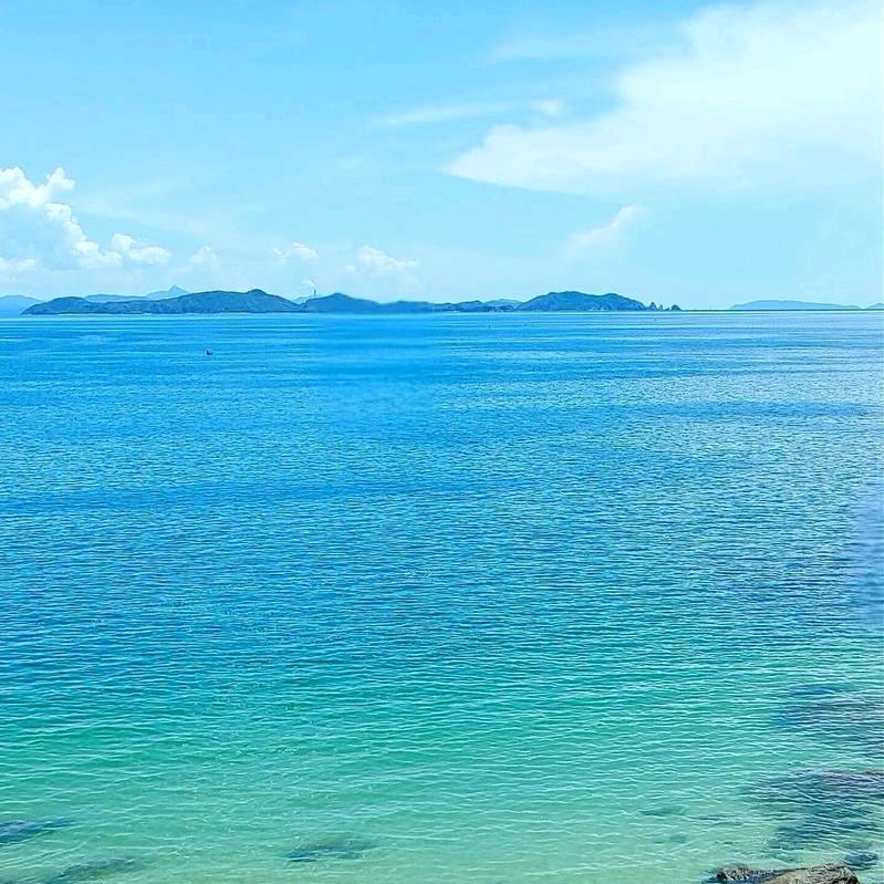 大海