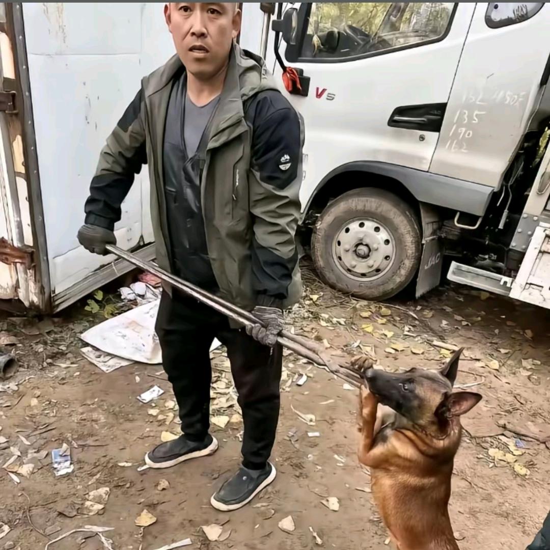 AAA翟哥专业套狗