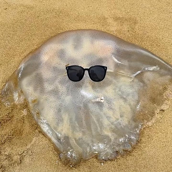 🌈大力必断件（笔涂版）