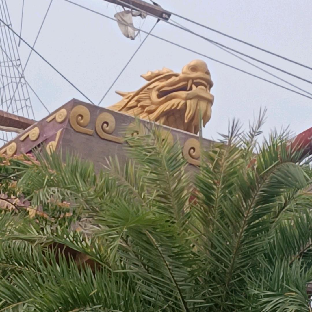 潇洒也要走一回