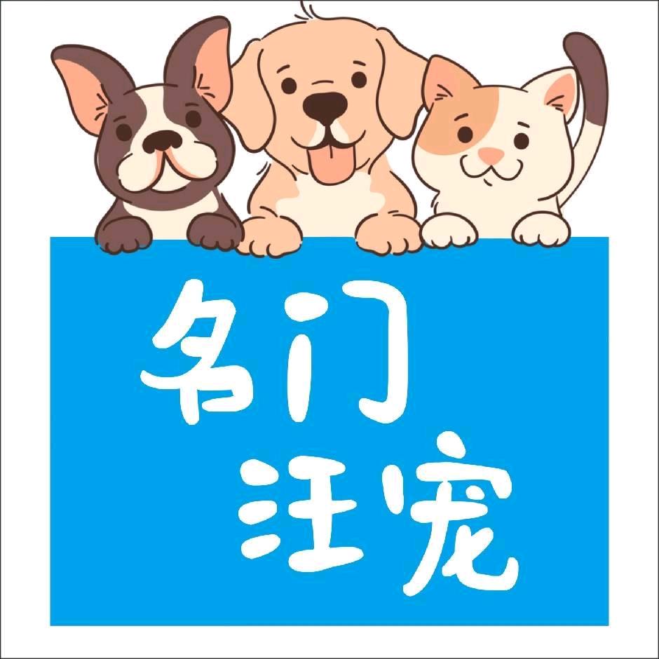 名门汪宠恒大店