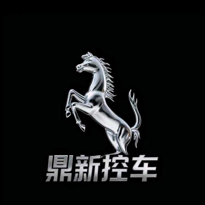 山西鼎新不良资产管理