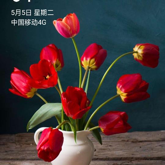 开心快乐过好每一天