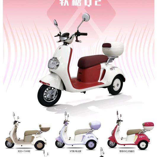 比德文电动车成武总代理