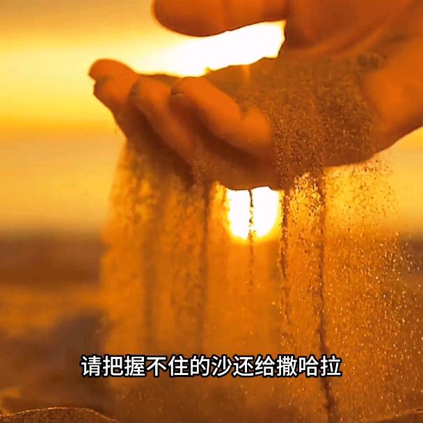 独来独往