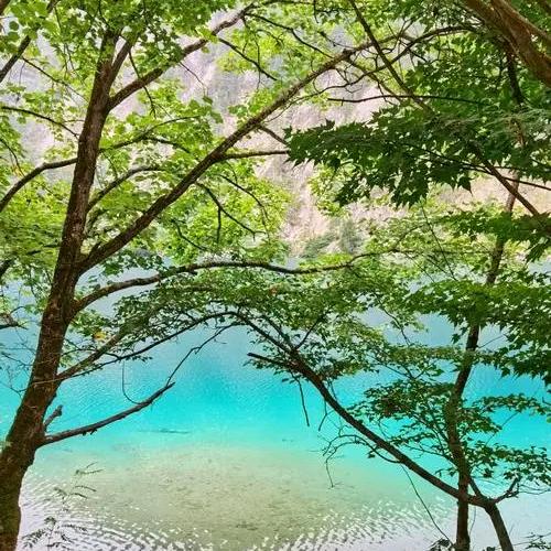 黄～涛