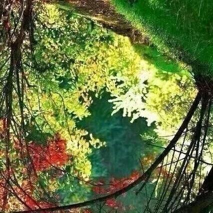 ((霸气))