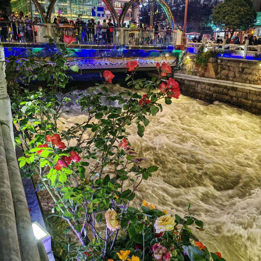 🐒杨帆起航🐒