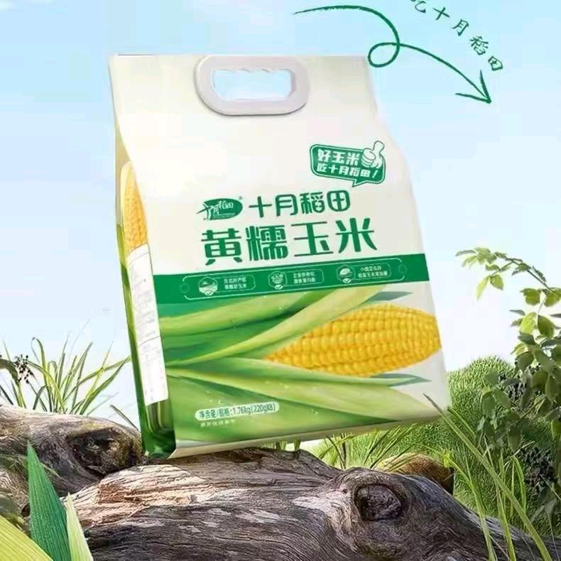 有机大玉米