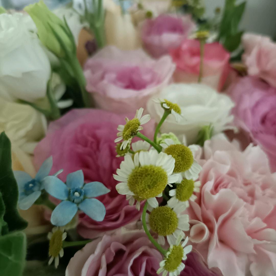 小小⁵²⁵⁹💫