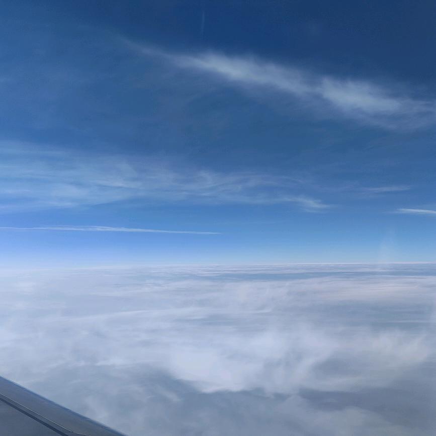 花言巧语，只为遇到你