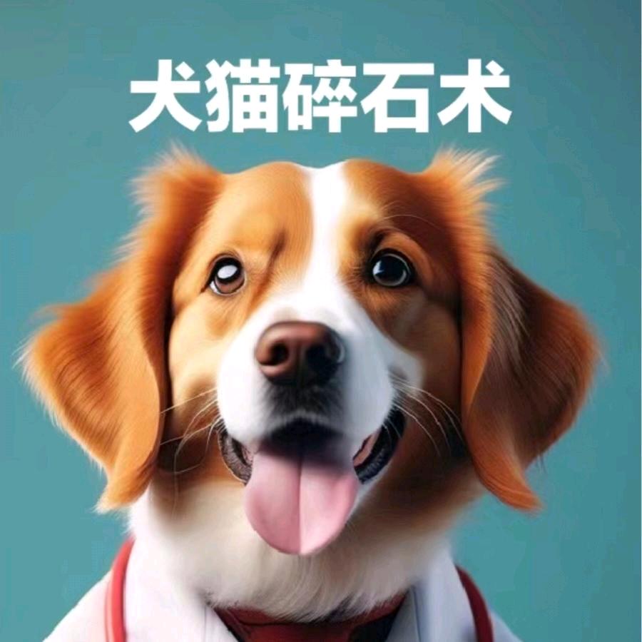 福州千宠百爱医院碎石中心