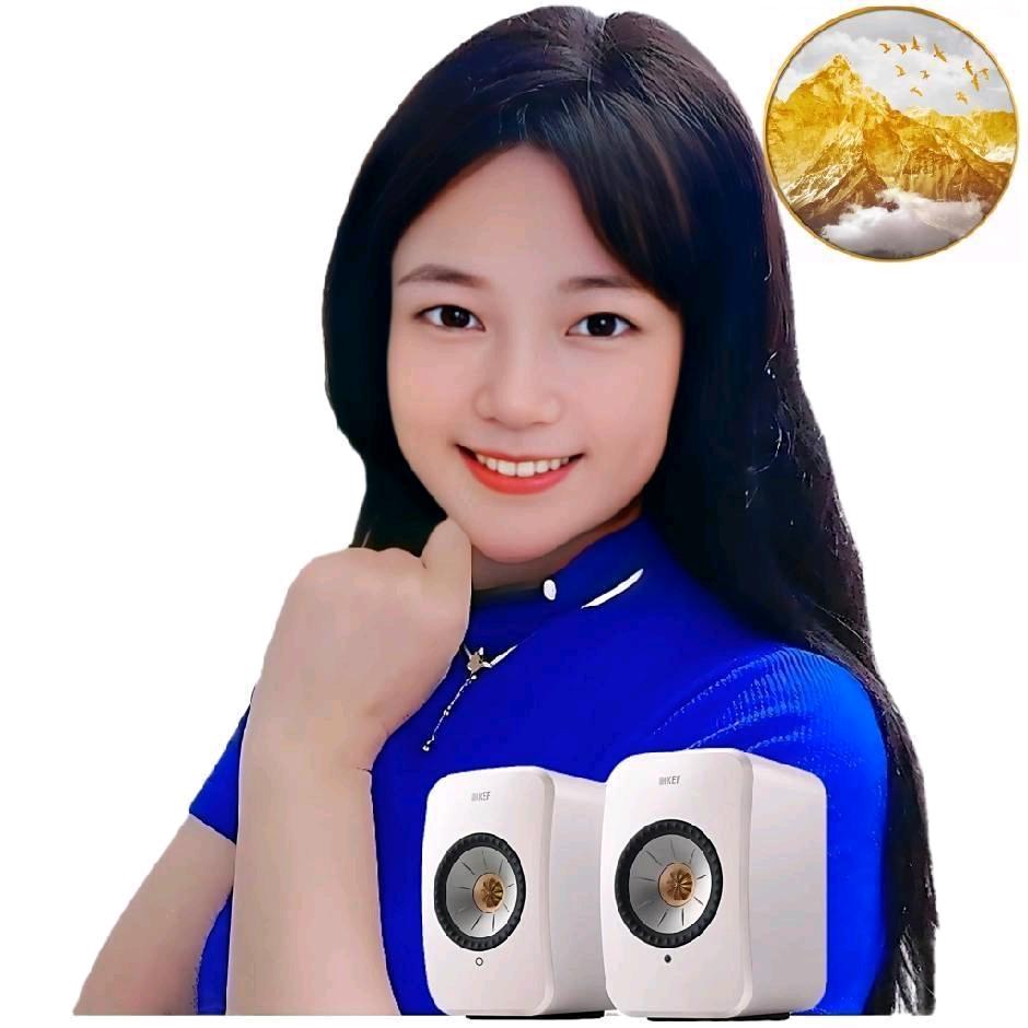 进口周边设备 正品行货
